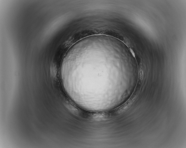 X0000116040574200911271200