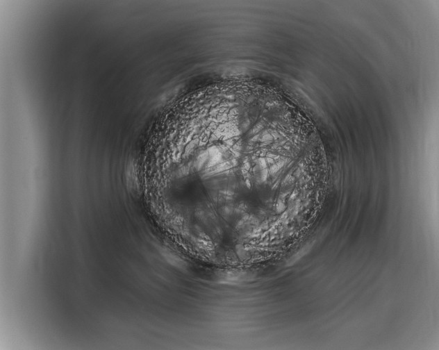 X0000116040575200911271200