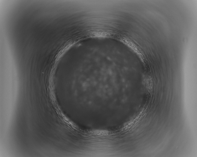 X0000116040577200911271200