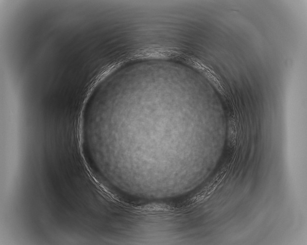 X0000116040578200911271200