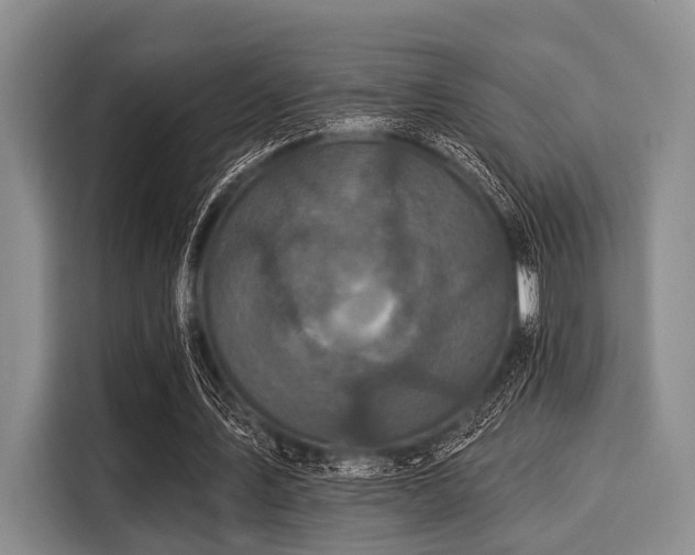 X0000116040579200911271200