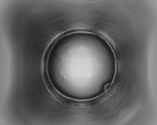 X0000116040580200911271200