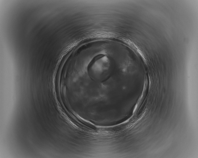 X0000116040581200911271200