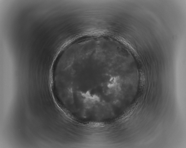 X0000116040582200911271200