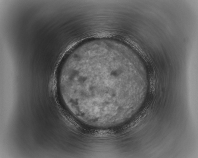 X0000116040584200911271200