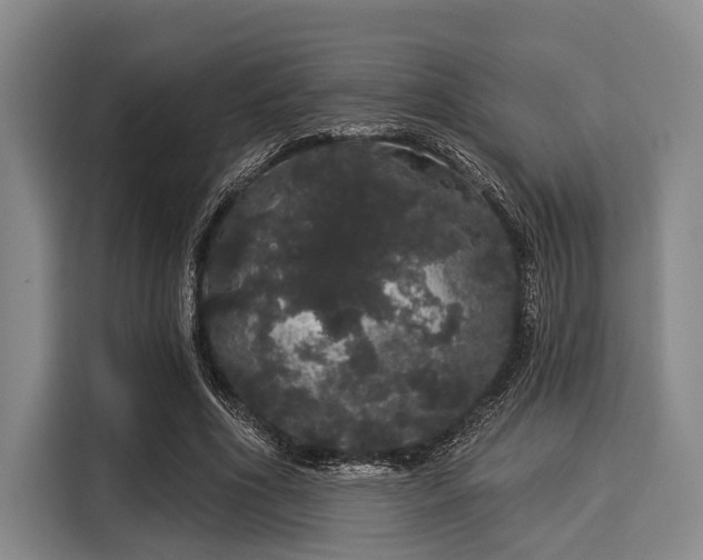 X0000116040586200911271200