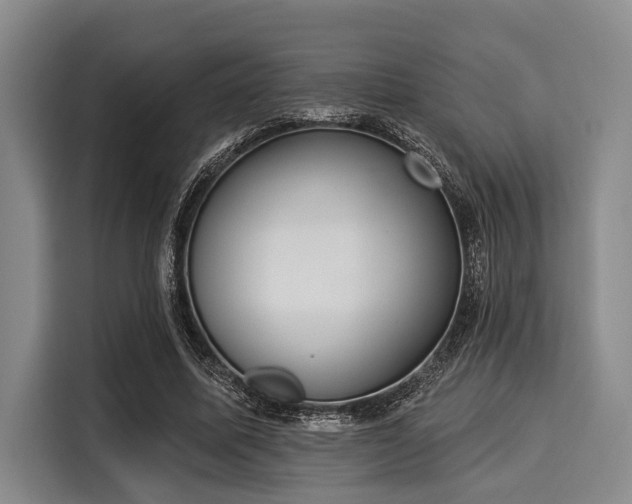 X0000116040587200911271200