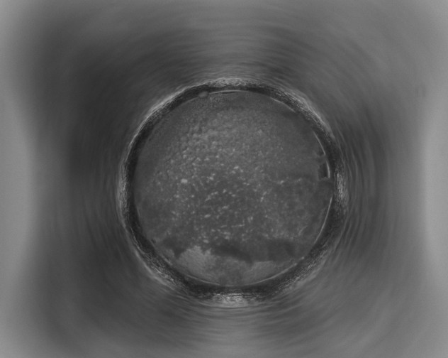 X0000116040588200911271159