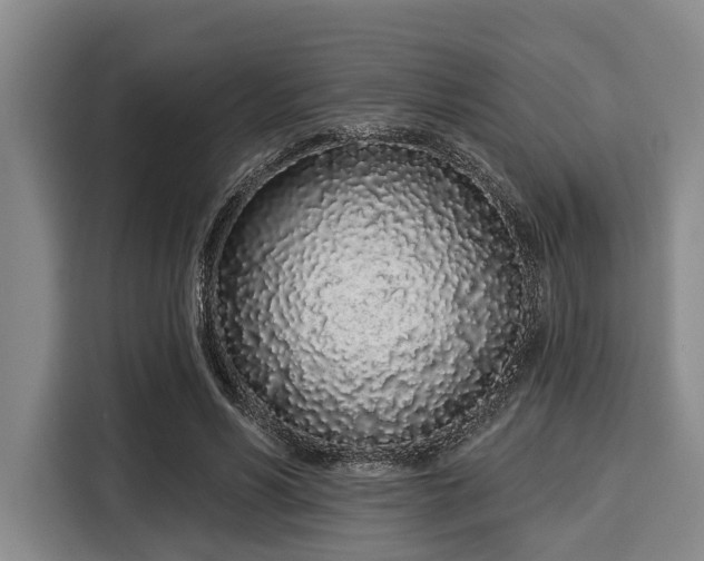 X0000116040590200911271159