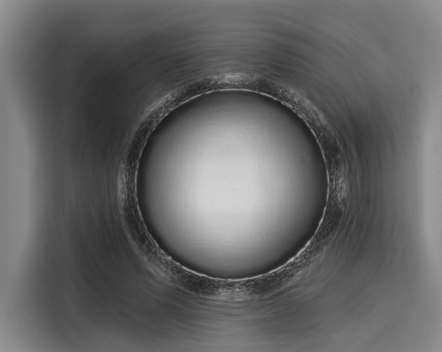 X0000116040591200911271159