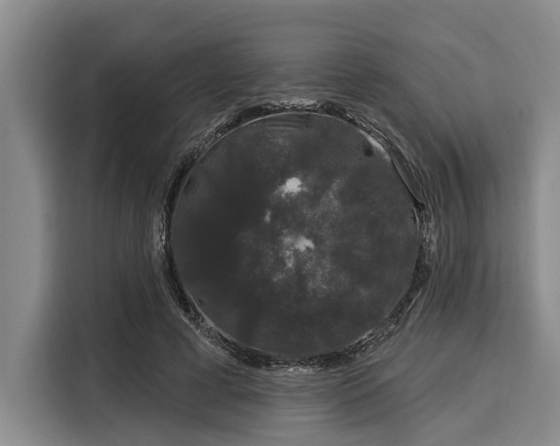 X0000116040593200911271159