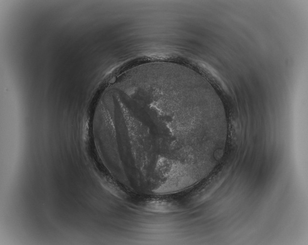 X0000116040596200911271159