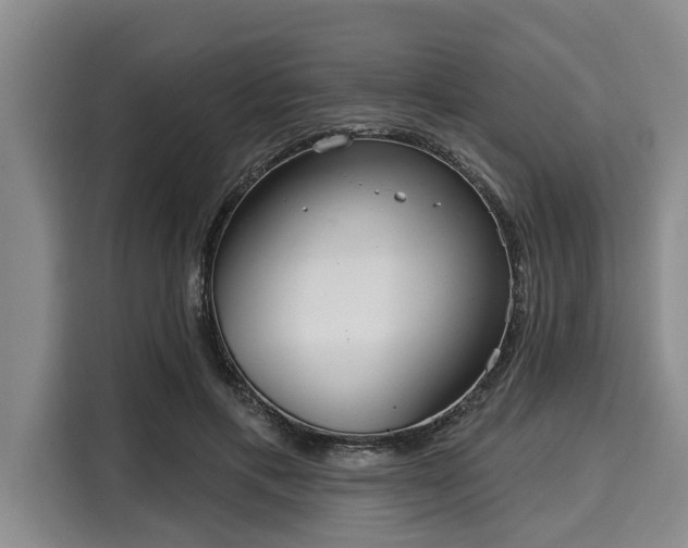 X0000116040597200911271159