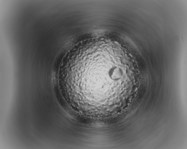 X0000116040598200911271159