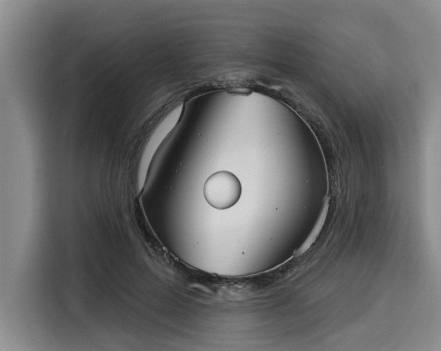 X0000116040599200911271159