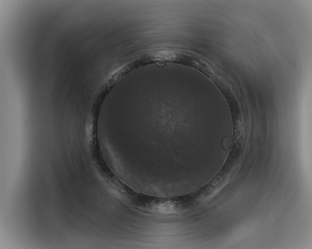 X0000116040600200911271159