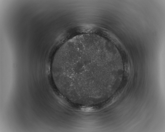 X0000116040602200911271159