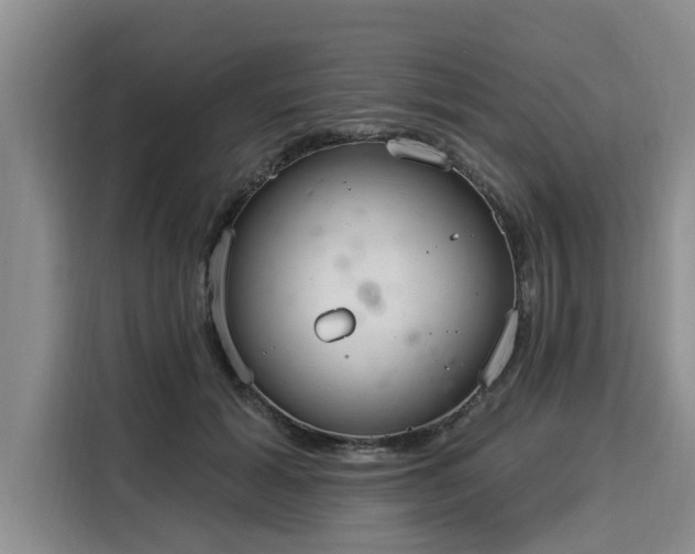 X0000116040605200911271159