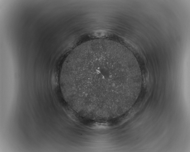 X0000116040606200911271159