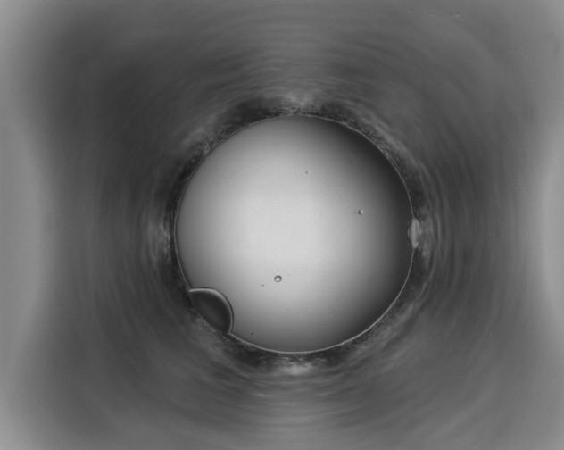 X0000116040613200911271159