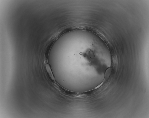 X0000116040617200911271159