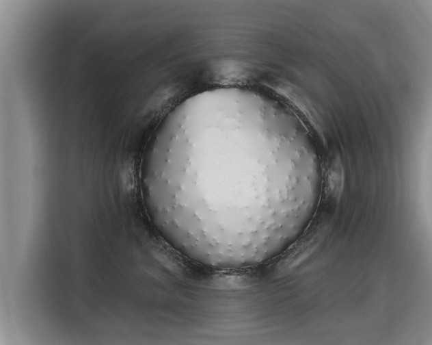 X0000116040620200911271159