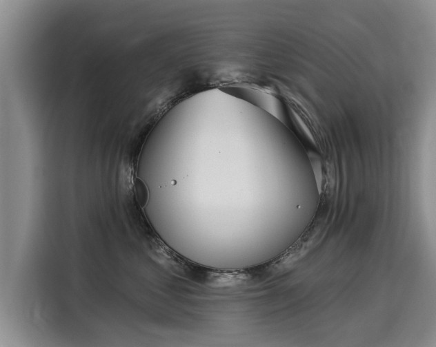 X0000116040621200911271159