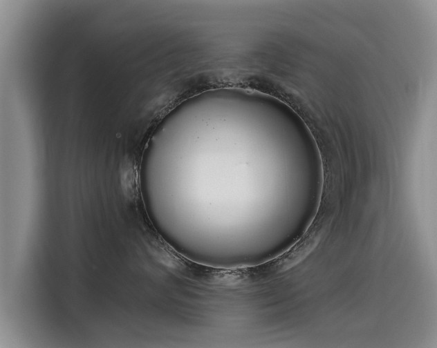 X0000116040624200911271159