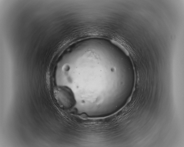 X0000116040626200911271158