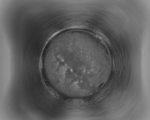 X0000116040628200911271158