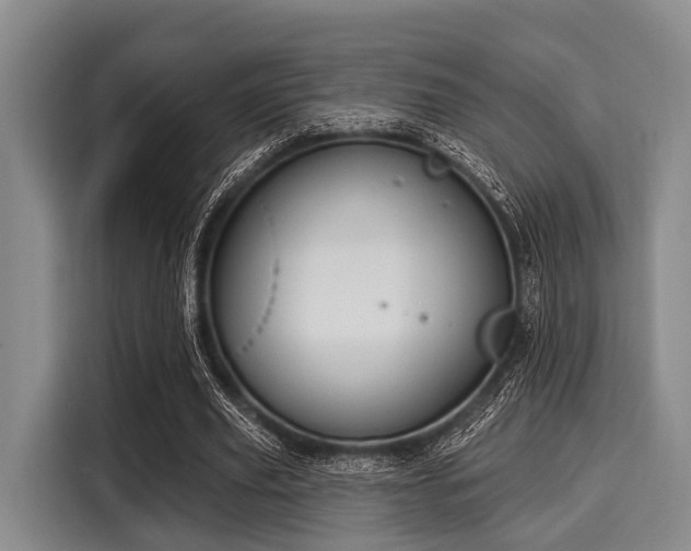 X0000116040629200911271158