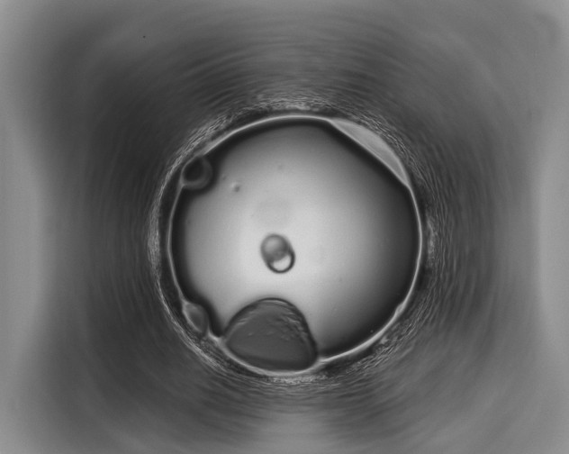 X0000116040630200911271158