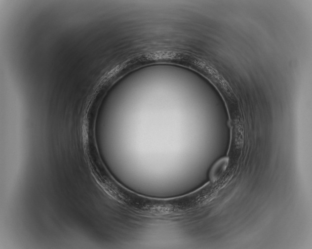 X0000116040631200911271158