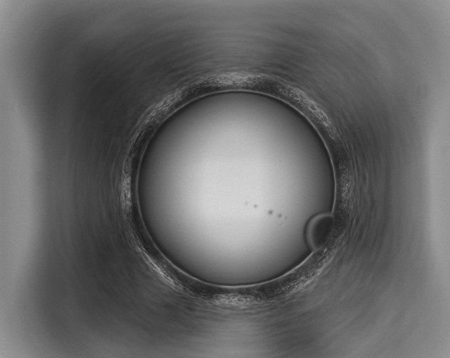 X0000116040633200911271159