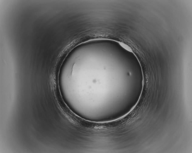 X0000116040634200911271159