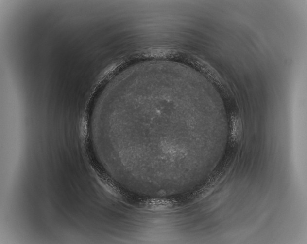 X0000116040636200911271159