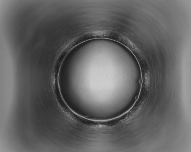 X0000116040637200911271159