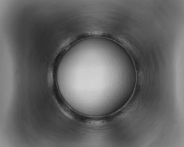 X0000116040638200911271159