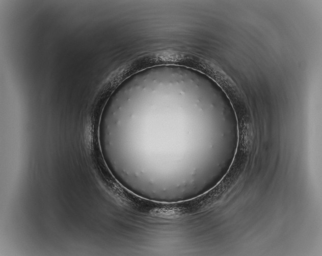 X0000116040639200911271159