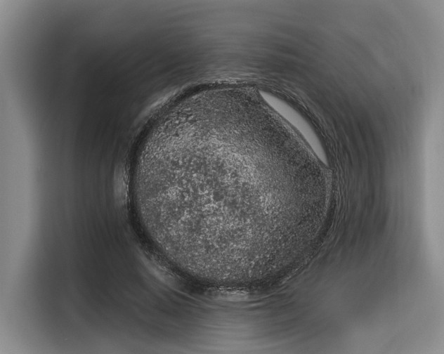 X0000116040640200911271159