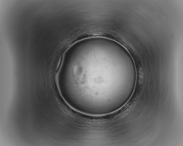 X0000116040641200911271159