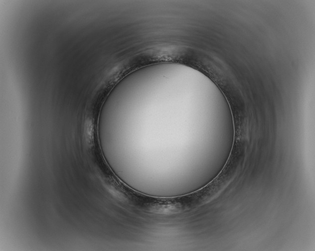 X0000116040646200911271159