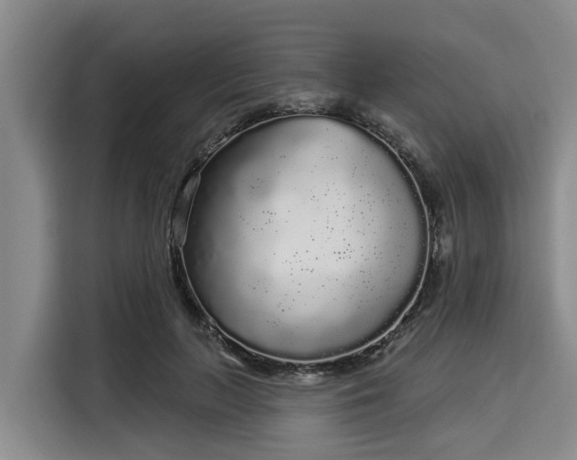 X0000116040647200911271159