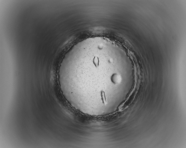 X0000116040648200911271159