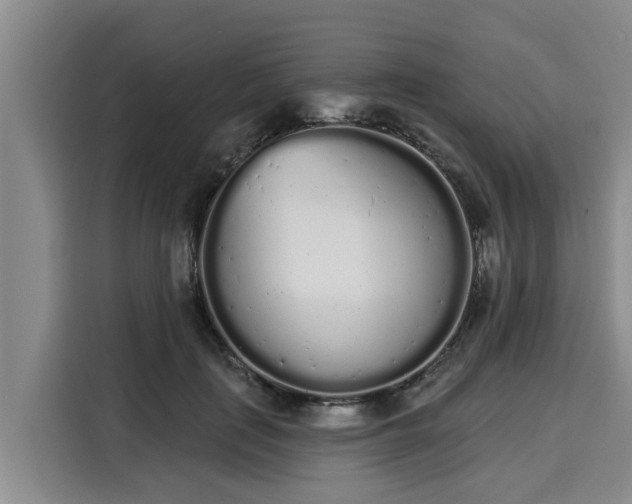 X0000116040651200911271159