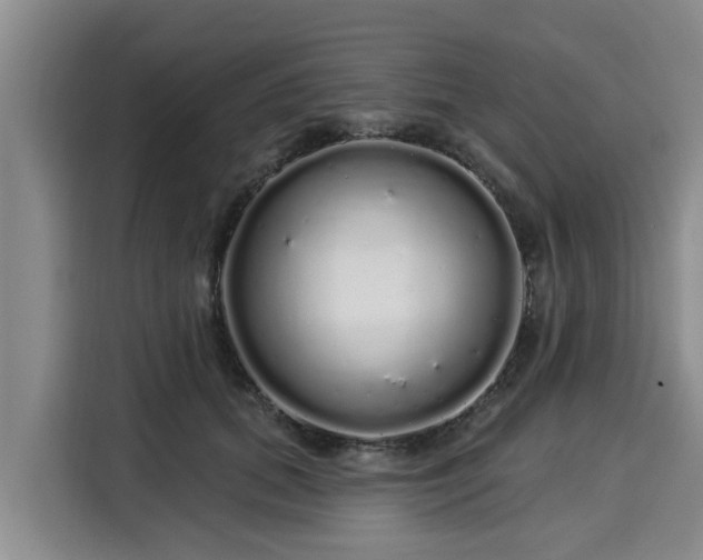 X0000116040655200911271159