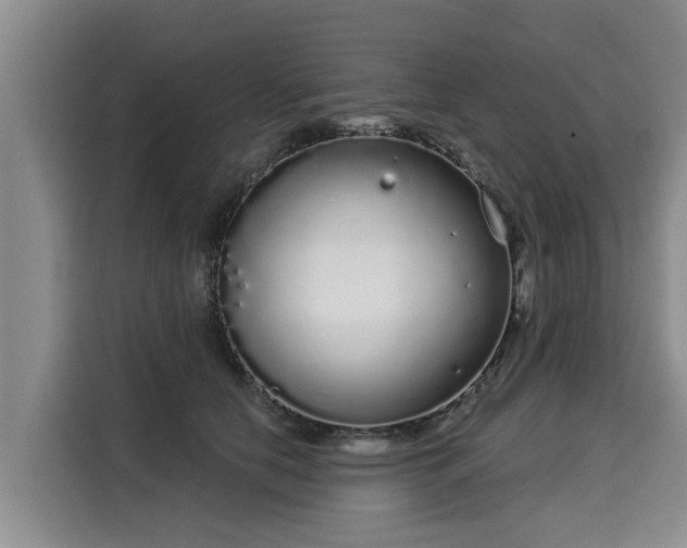 X0000116040658200911271159