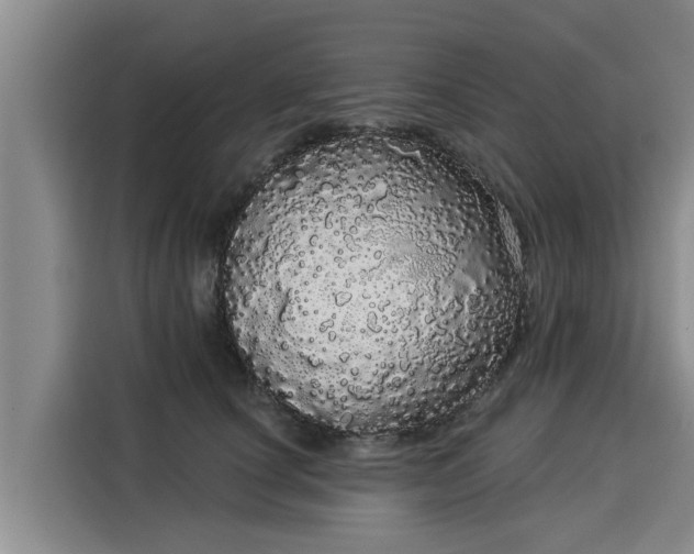 X0000116040660200911271159