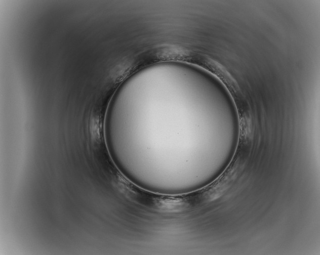 X0000116040669200911271159