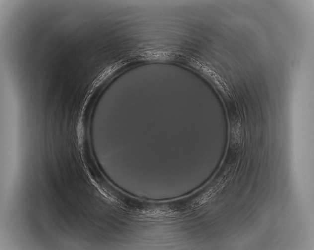 X0000116040674200911271158